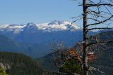DSC_6420.jpg